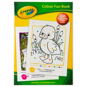 Crayola Colouring Fun Book