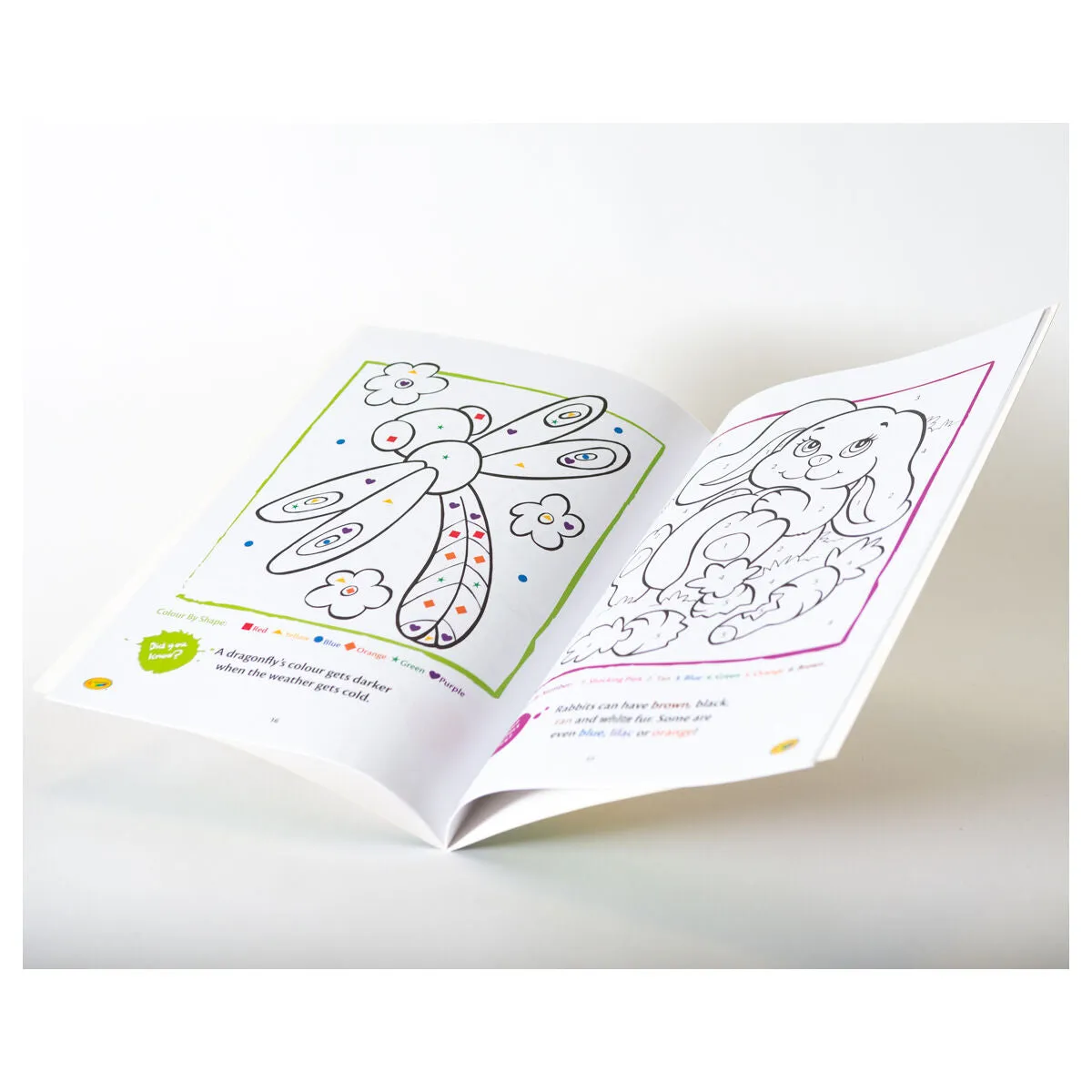 Crayola Colouring Fun Book