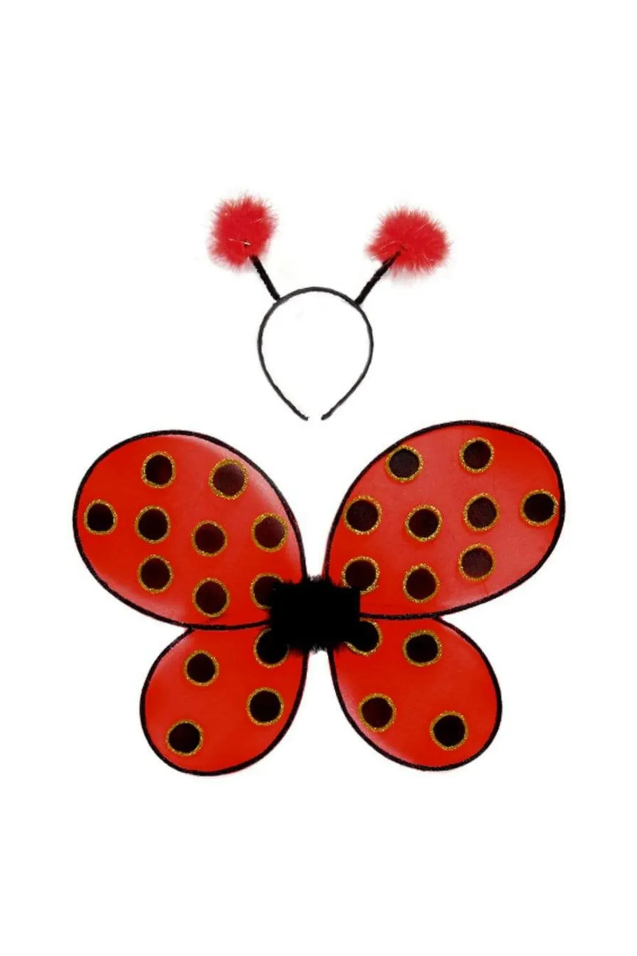 Ladybug Wings & Headband